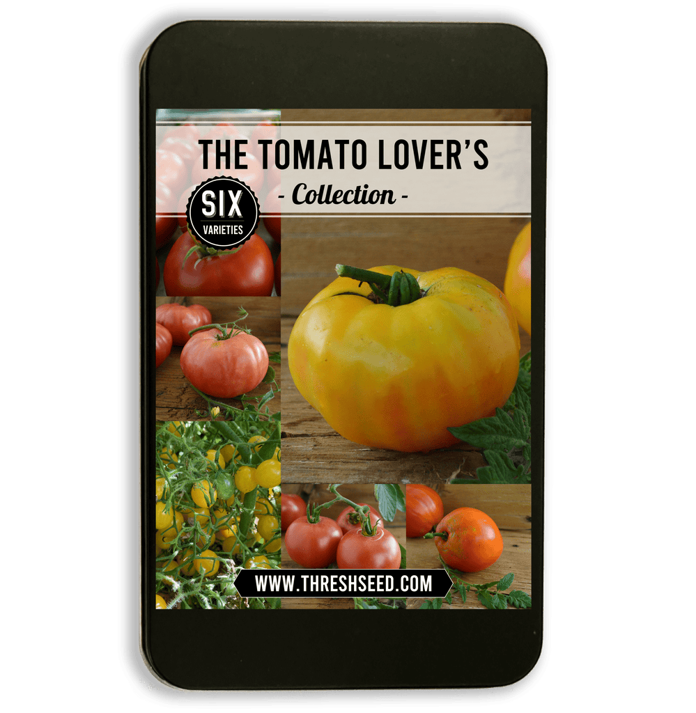 Tomato Lover's Collection Seeds