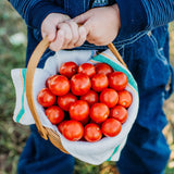 Tommy Toe Cherry Tomato Seeds