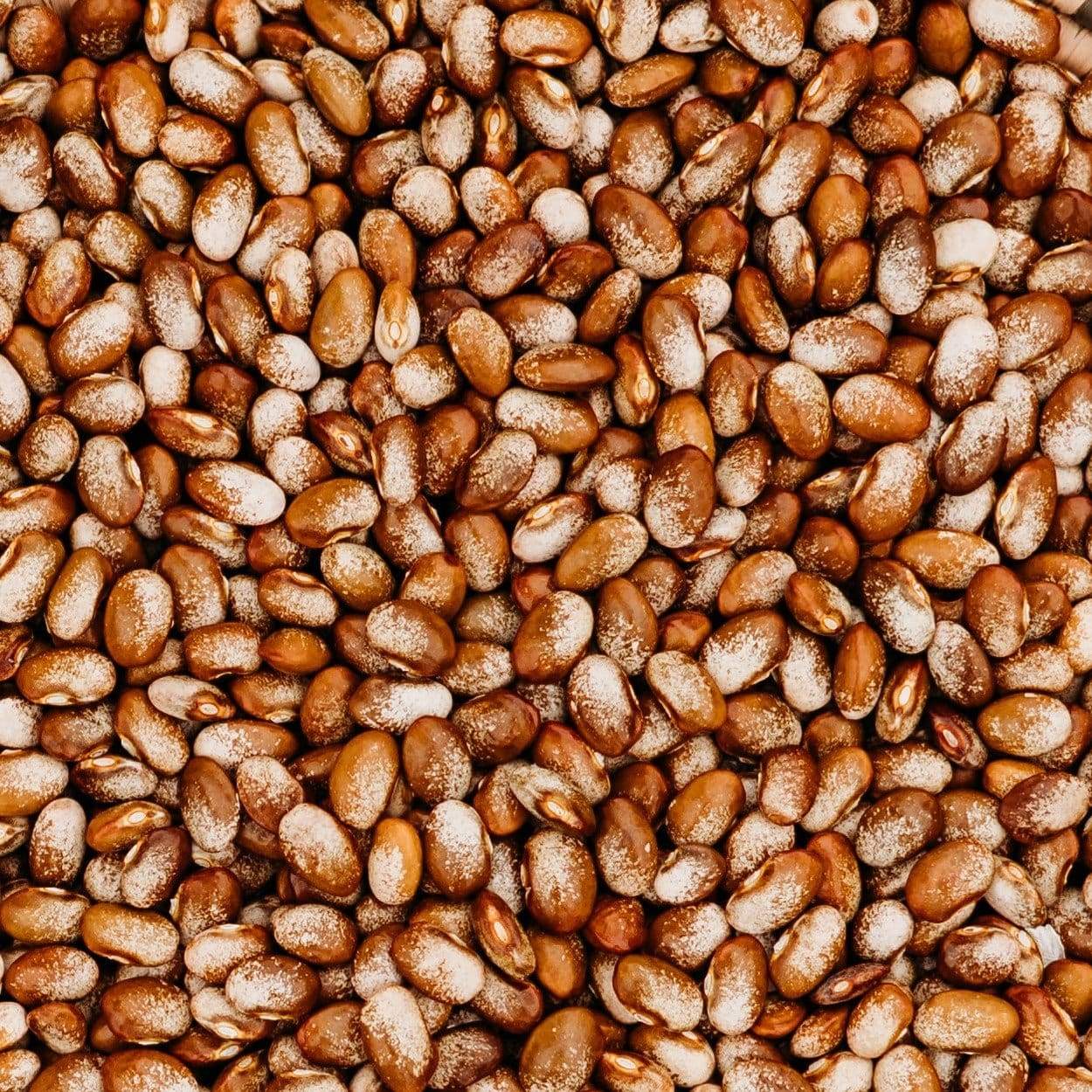 Turkey Craw Pole Bean Seeds