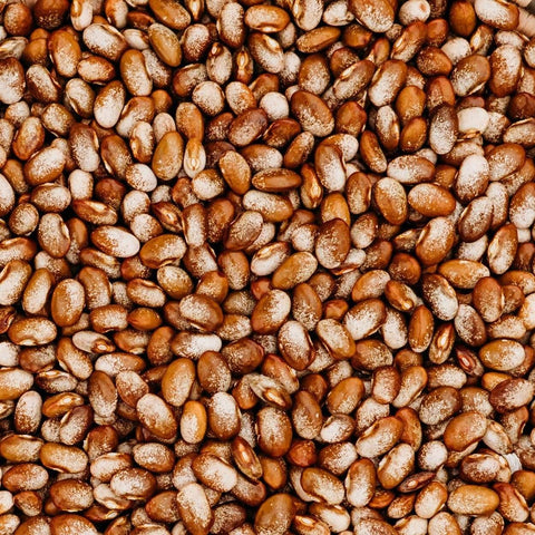 Turkey Craw Pole Bean Seeds