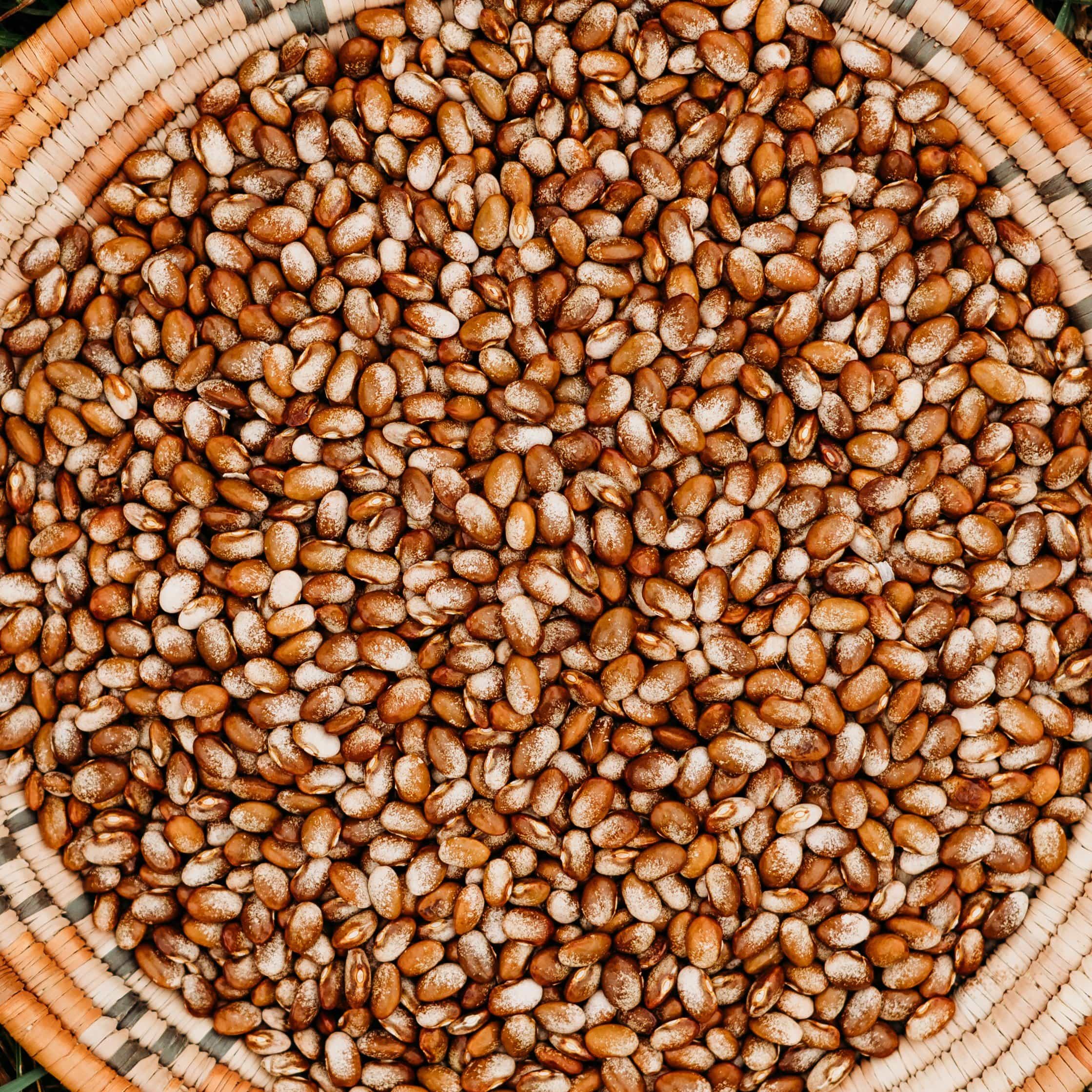 Turkey Craw Pole Bean Seeds