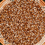 Turkey Craw Pole Bean Seeds