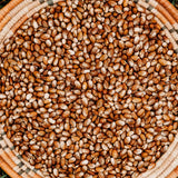 Turkey Craw Pole Bean Seeds