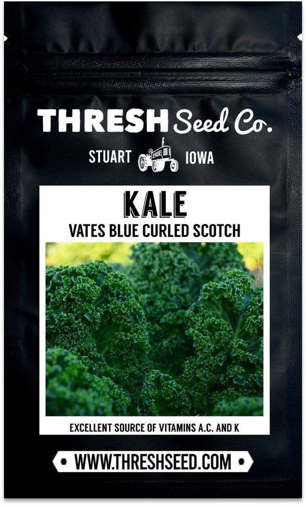 Vates Blue Curled Scotch Kale Seeds