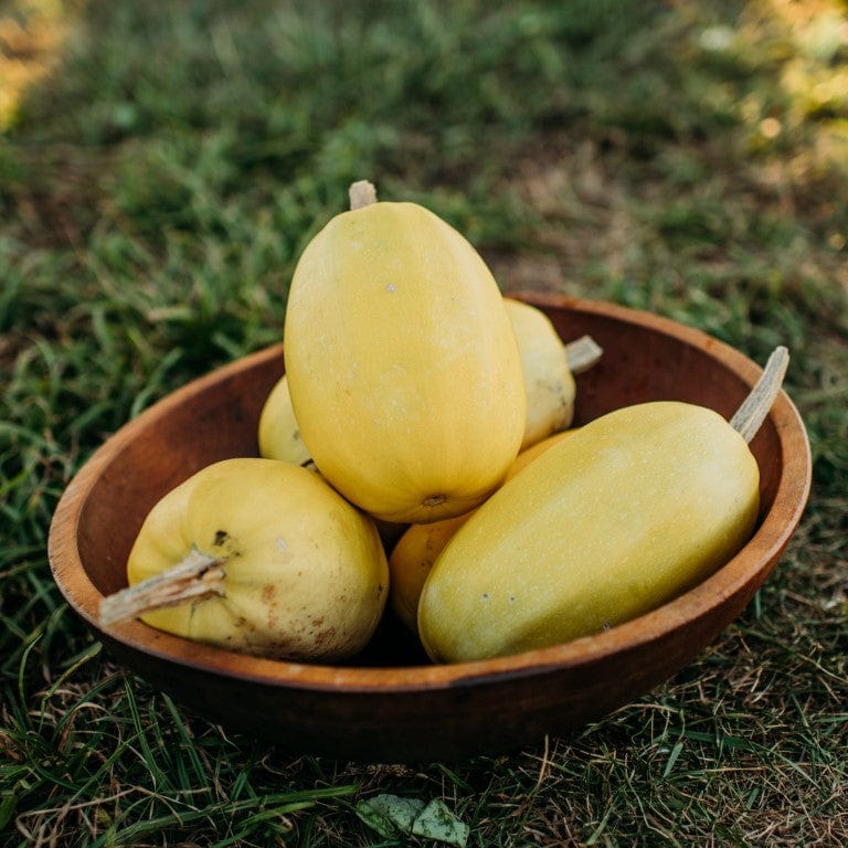 Vegetable Spaghetti Squash