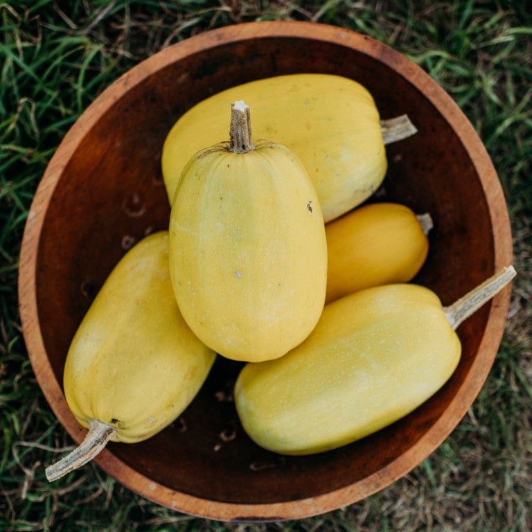 Vegetable Spaghetti Squash