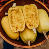 Vegetable Spaghetti Squash Seeds