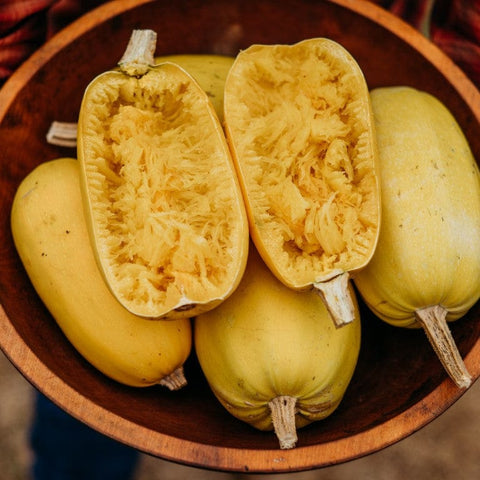 Vegetable Spaghetti Squash Seeds