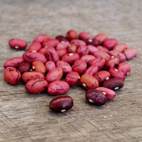 Vermont Cranberry Shelling Beans