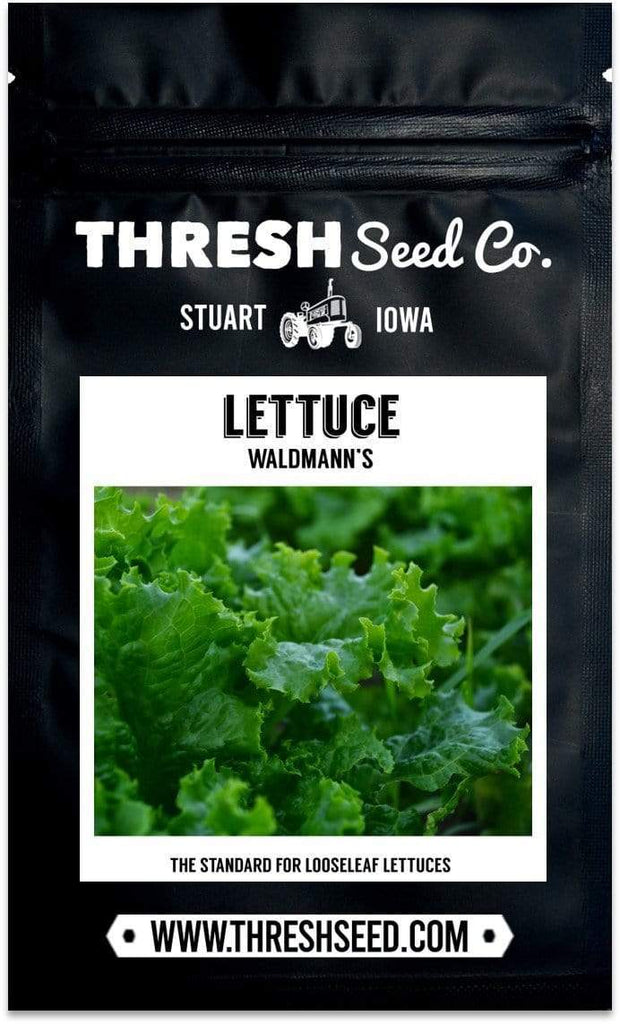 Waldmann's Leaf Lettuce Seeds