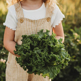 Waldmann's Leaf Lettuce Seeds