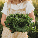 Waldmann's Leaf Lettuce Seeds