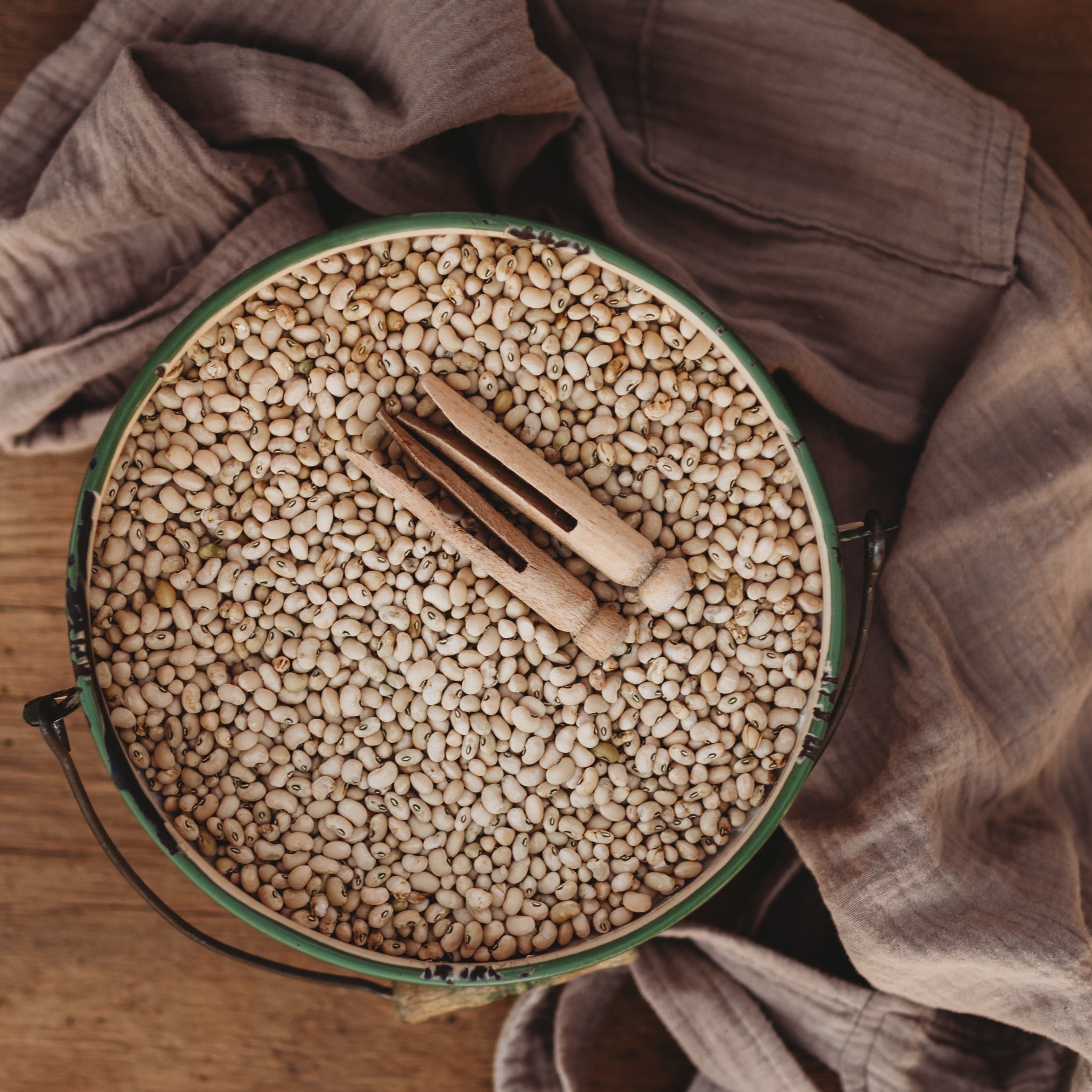 Washday Heirloom Cowpea/Southern Pea Seeds