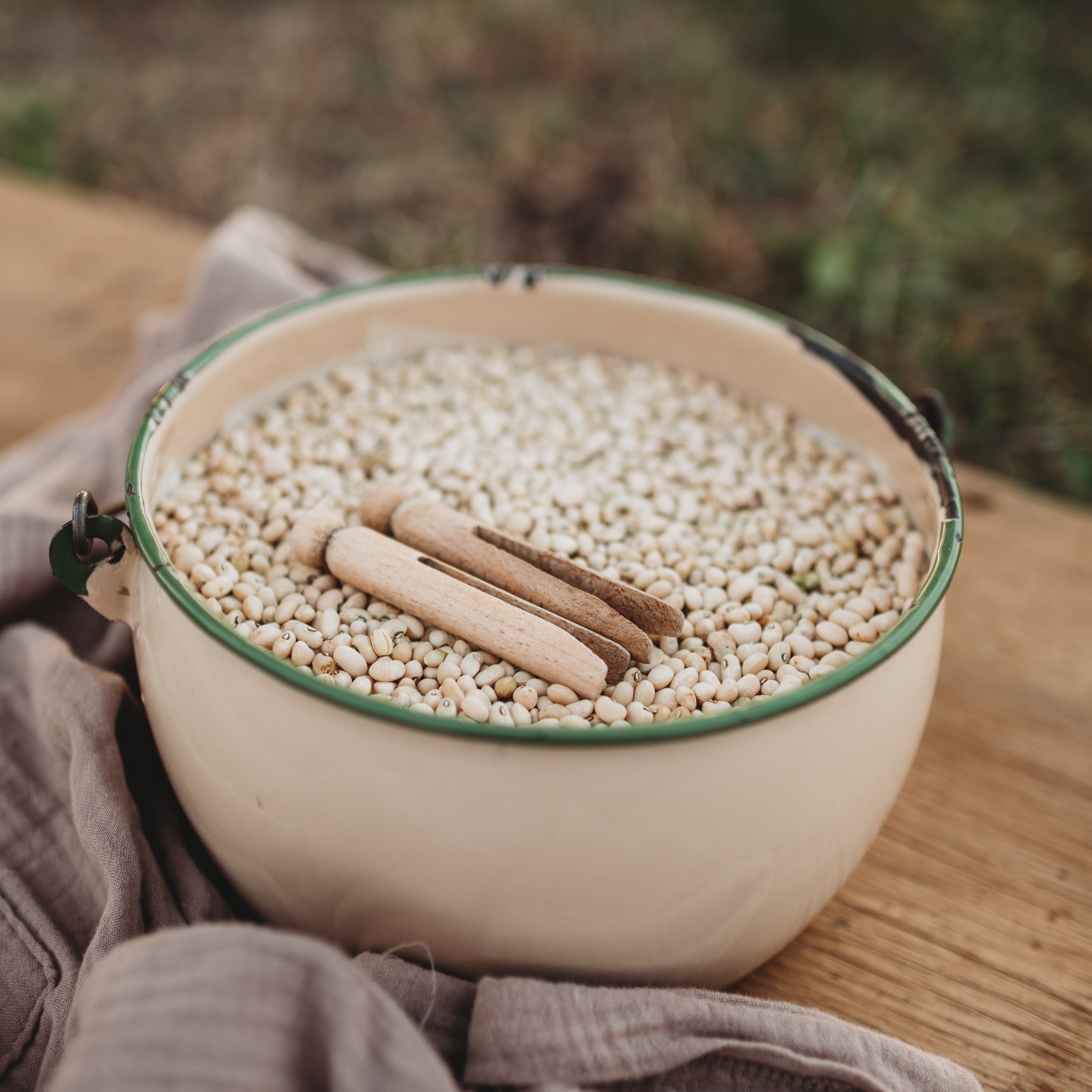 Washday Heirloom Cowpea/Southern Pea Seeds