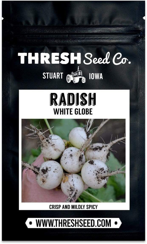 White Globe Radish Seeds