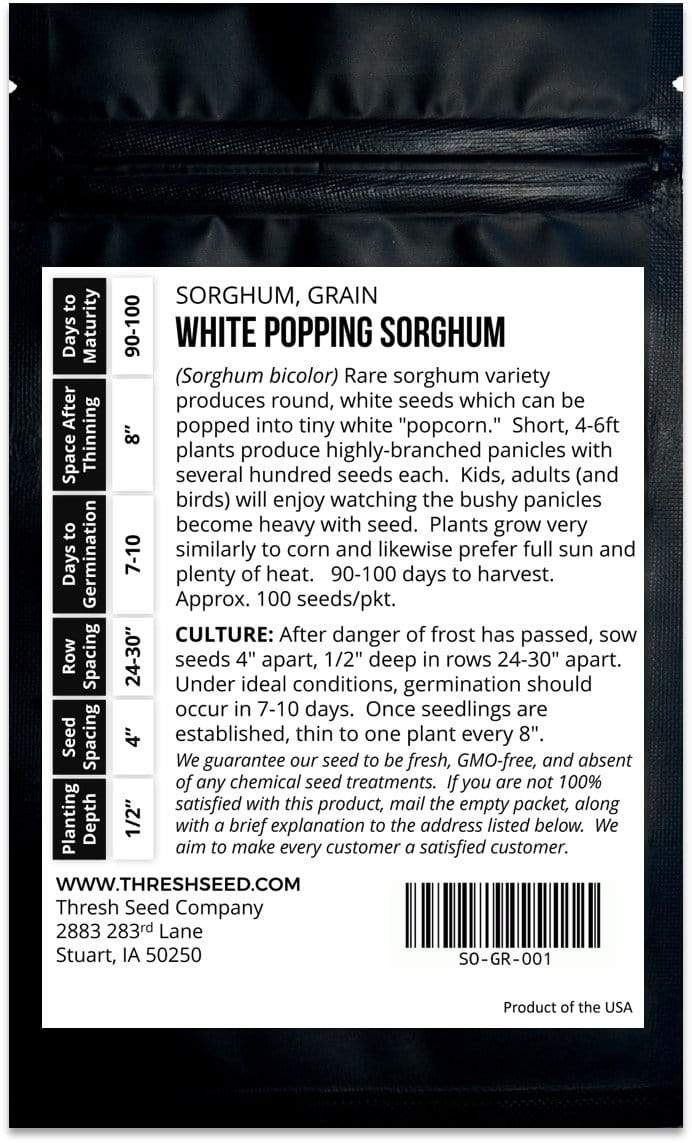 White Popping Sorghum
