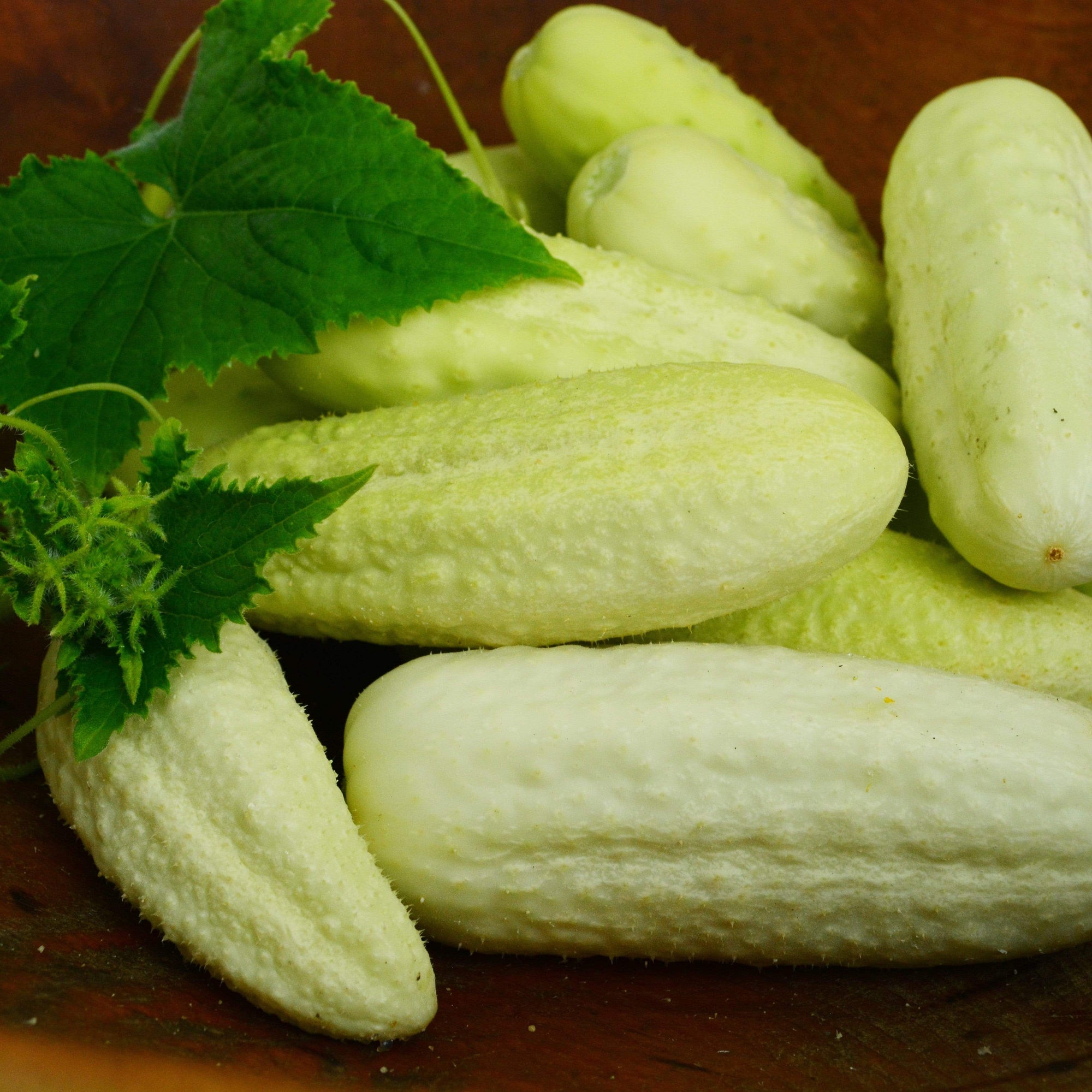 White Wonder Heirloom Cucumber
