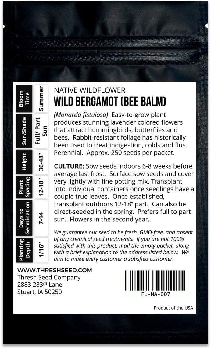 Wild Bergamot (bee balm)