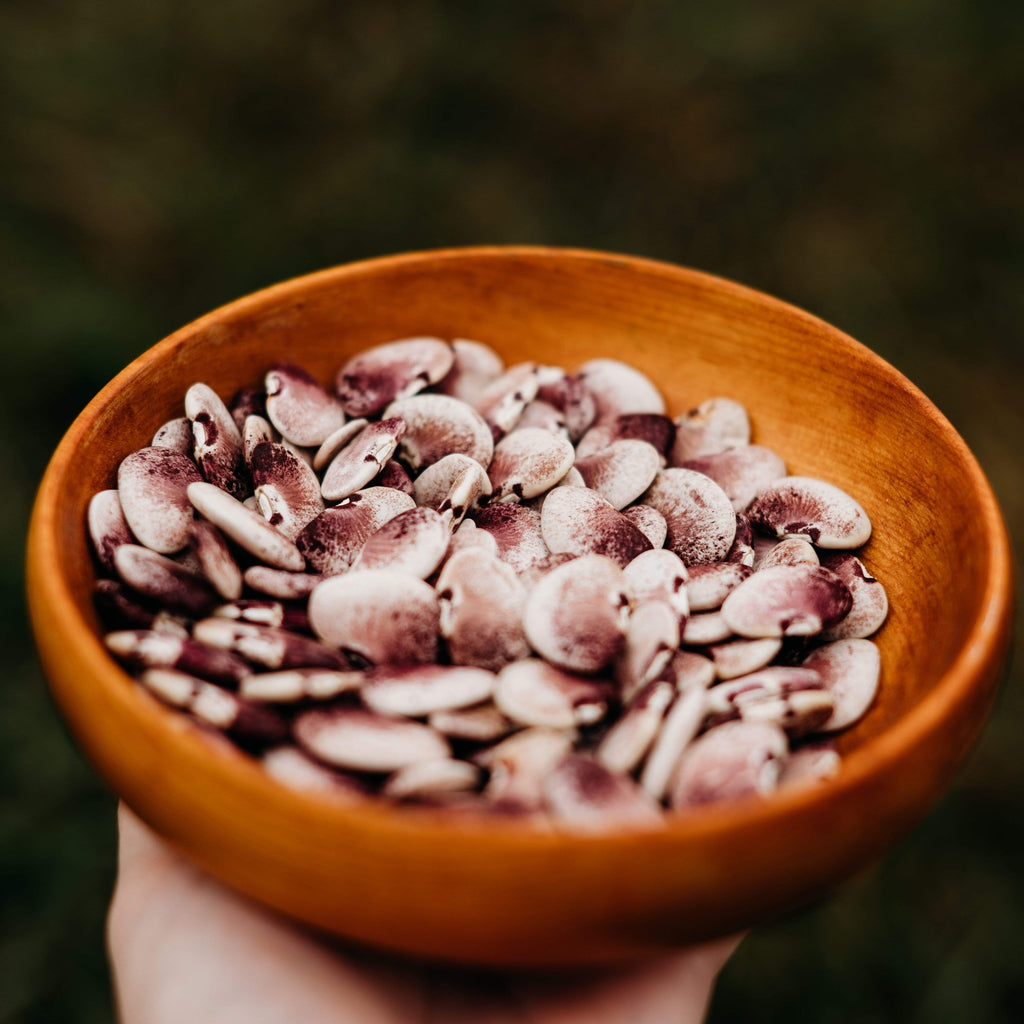 Winfield Pole Lima Bean Seeds
