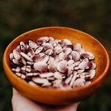 Winfield Pole Lima Bean Seeds
