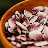 Winfield Pole Lima Bean Seeds