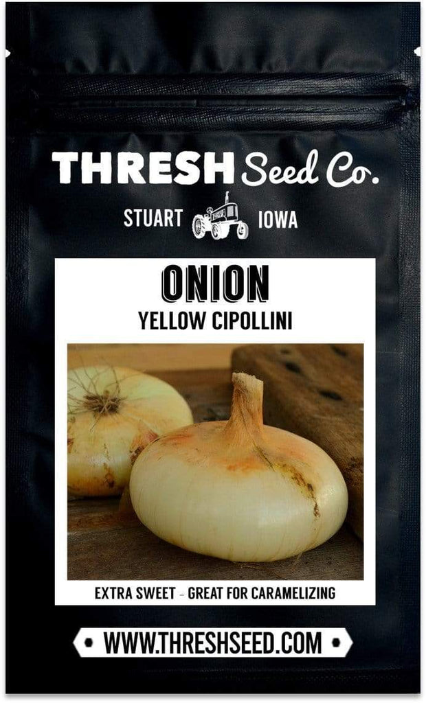 Yellow Cipollini Onion Seeds
