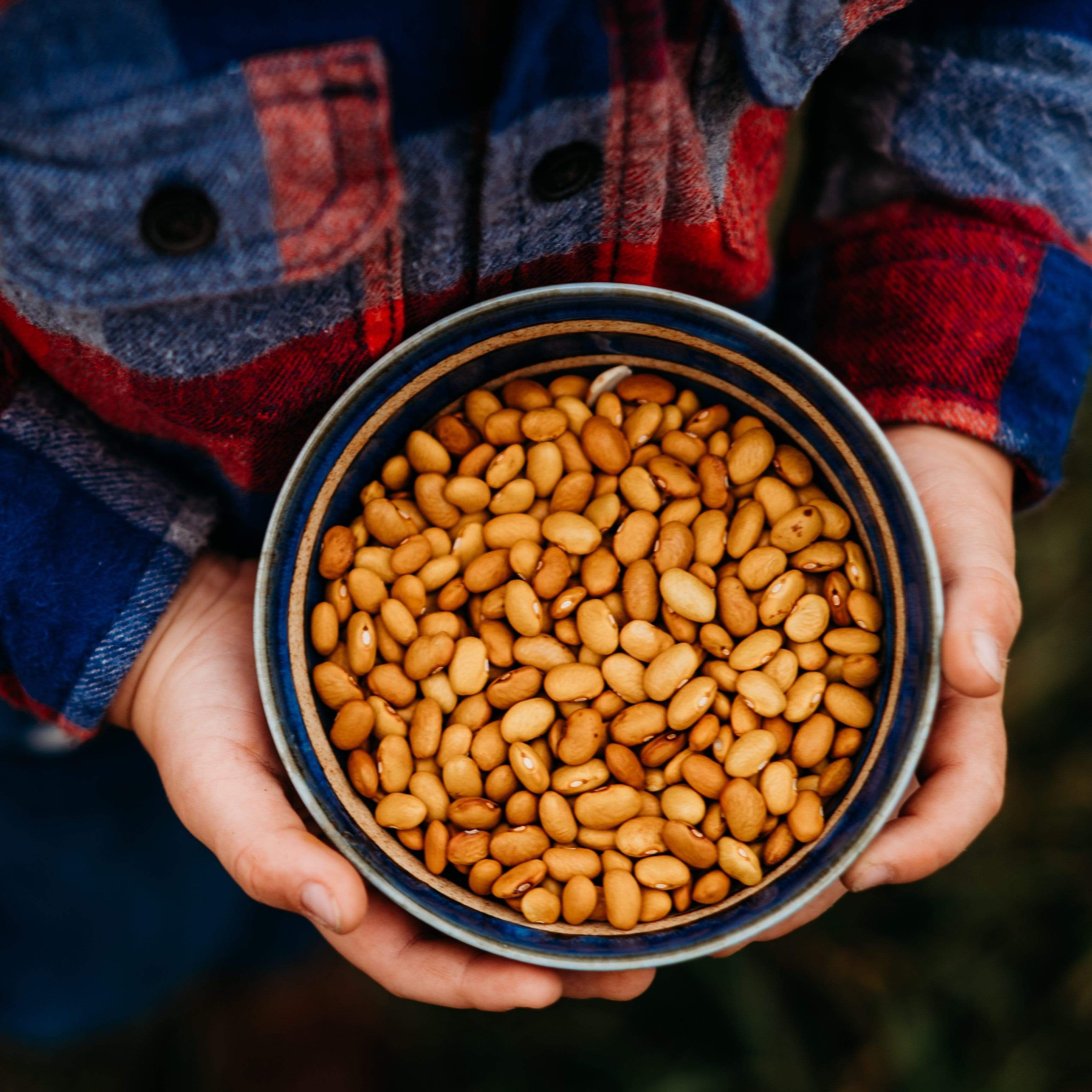 Yellow Indian Woman Shelling Bean Seeds