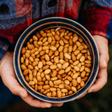Yellow Indian Woman Shelling Bean Seeds