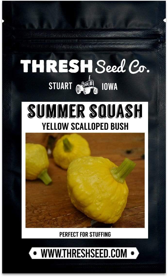 Yellow Scalloped Bush Summer Squash Seeds