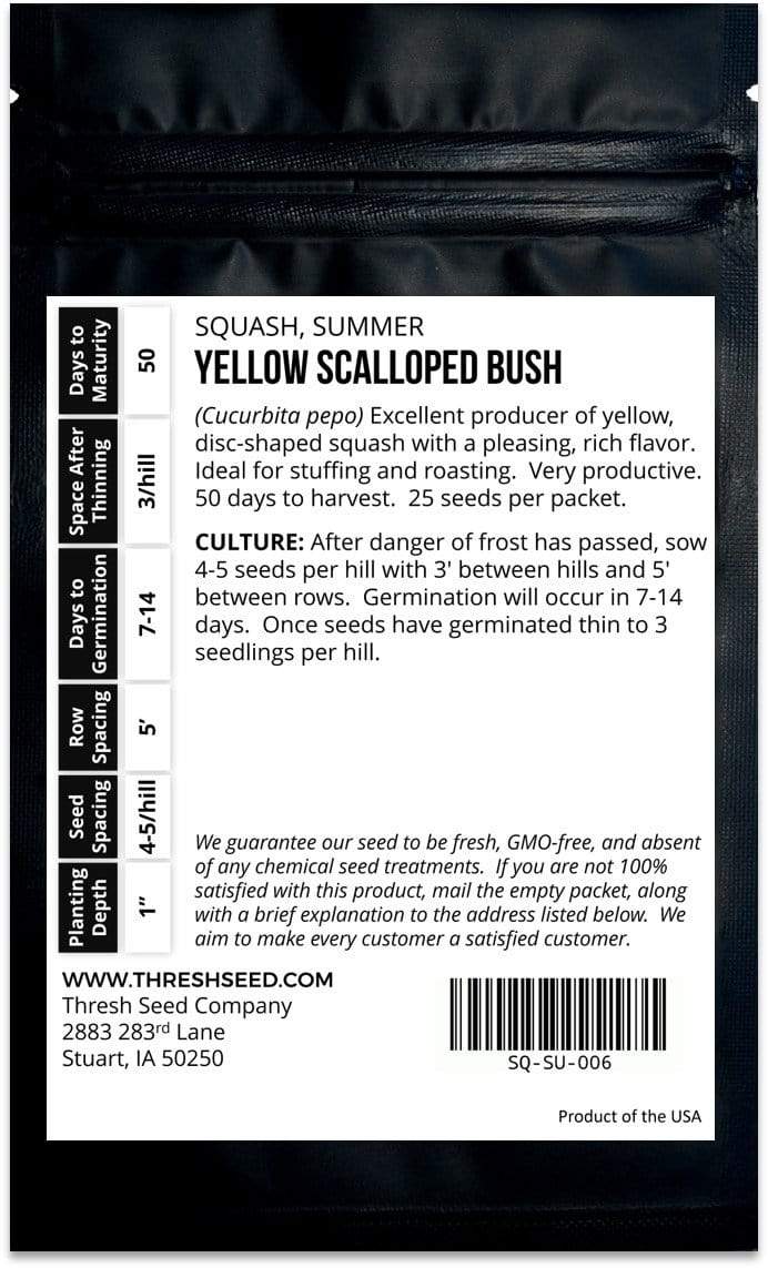 Yellow Scalloped Bush Summer Squash